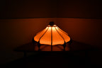 Bloom Light