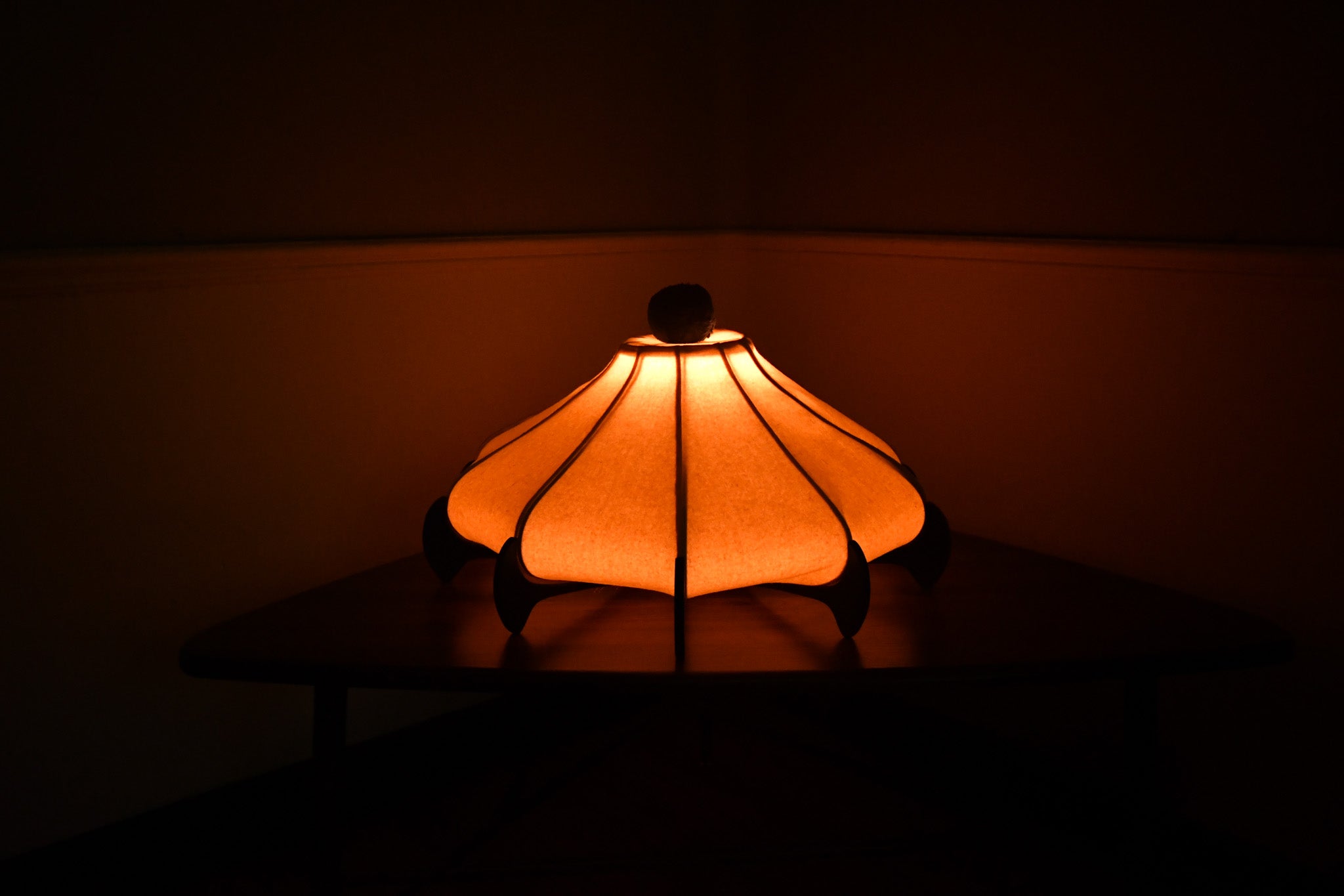Bloom Light